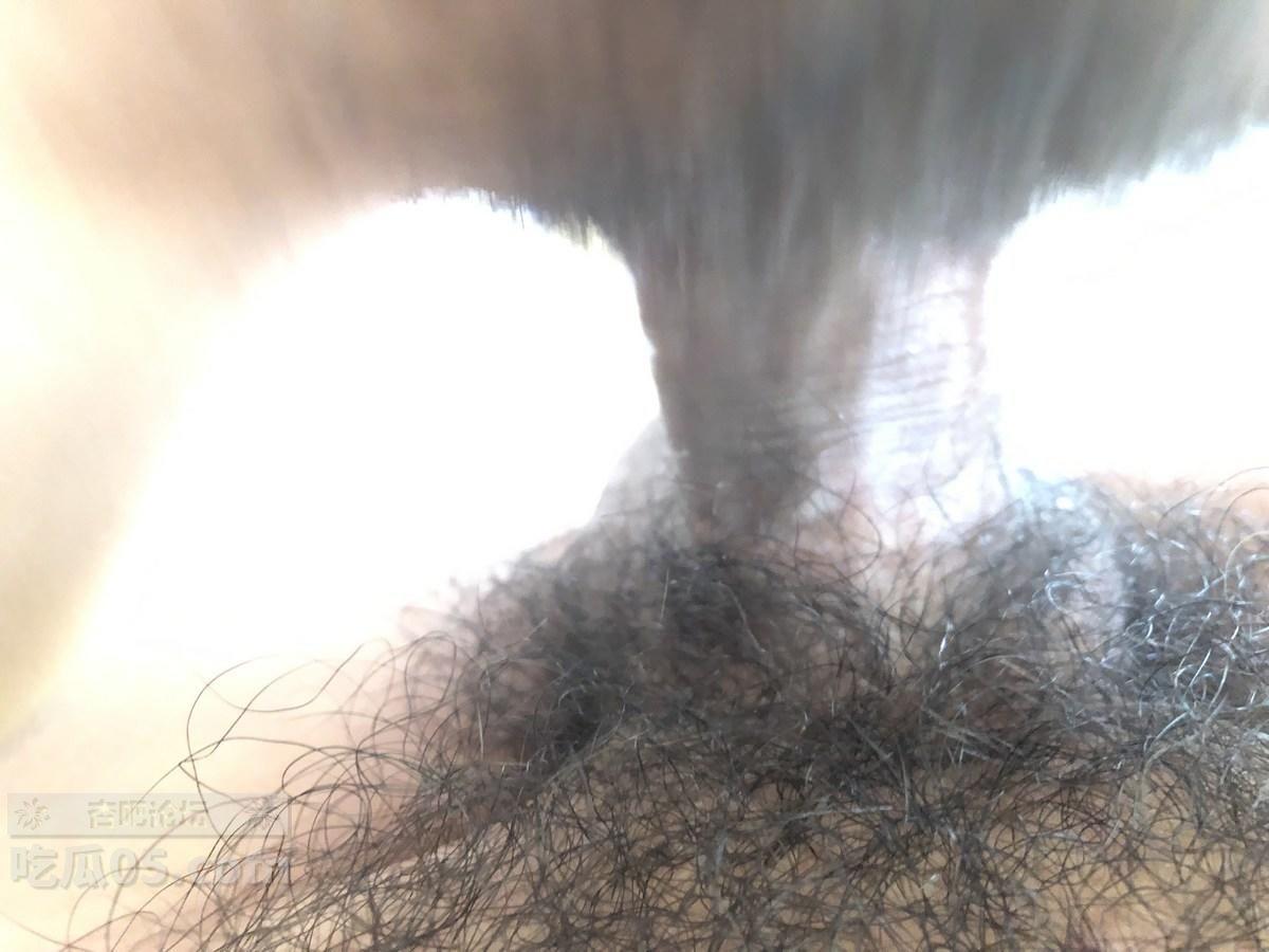 ia_58900000034.jpg