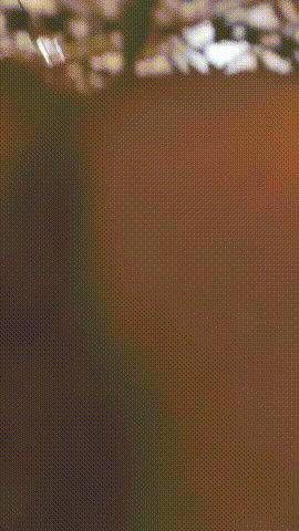 4.gif