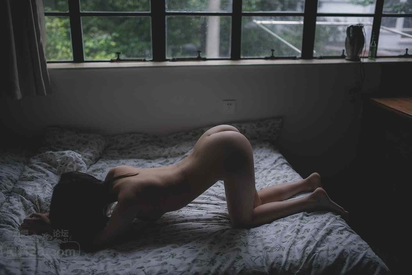 49578.jpg