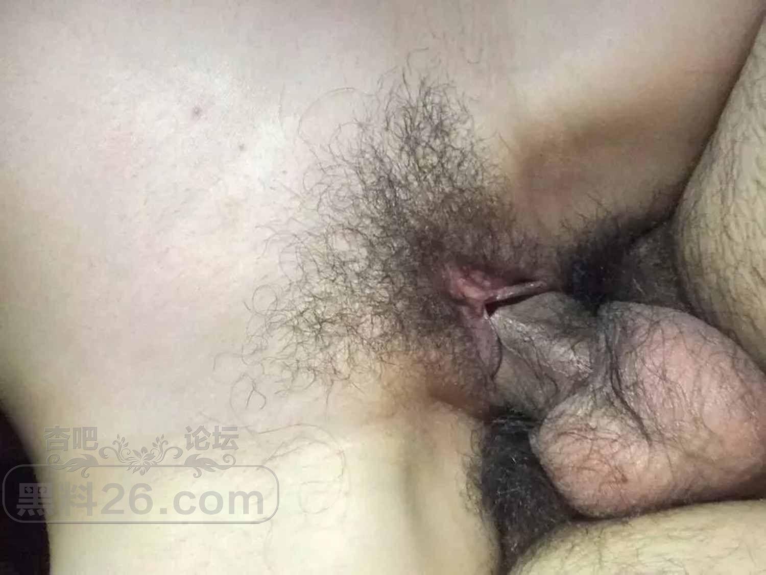281711.jpg