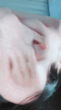 2-5a843ec5102fc758710454 (2).gif