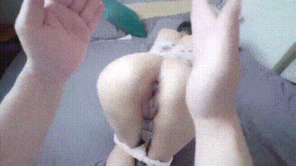 b21016875 (2).gif