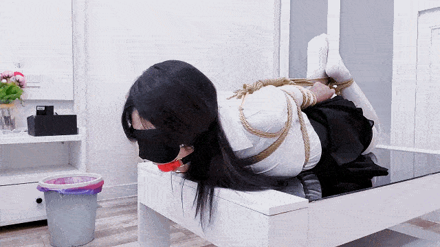 1 (8).gif