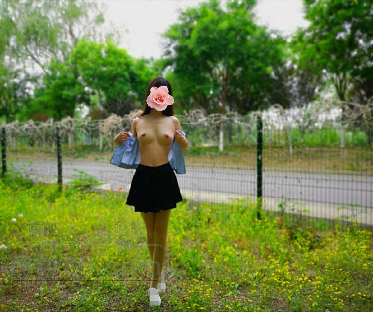 ia_18900000044.jpg