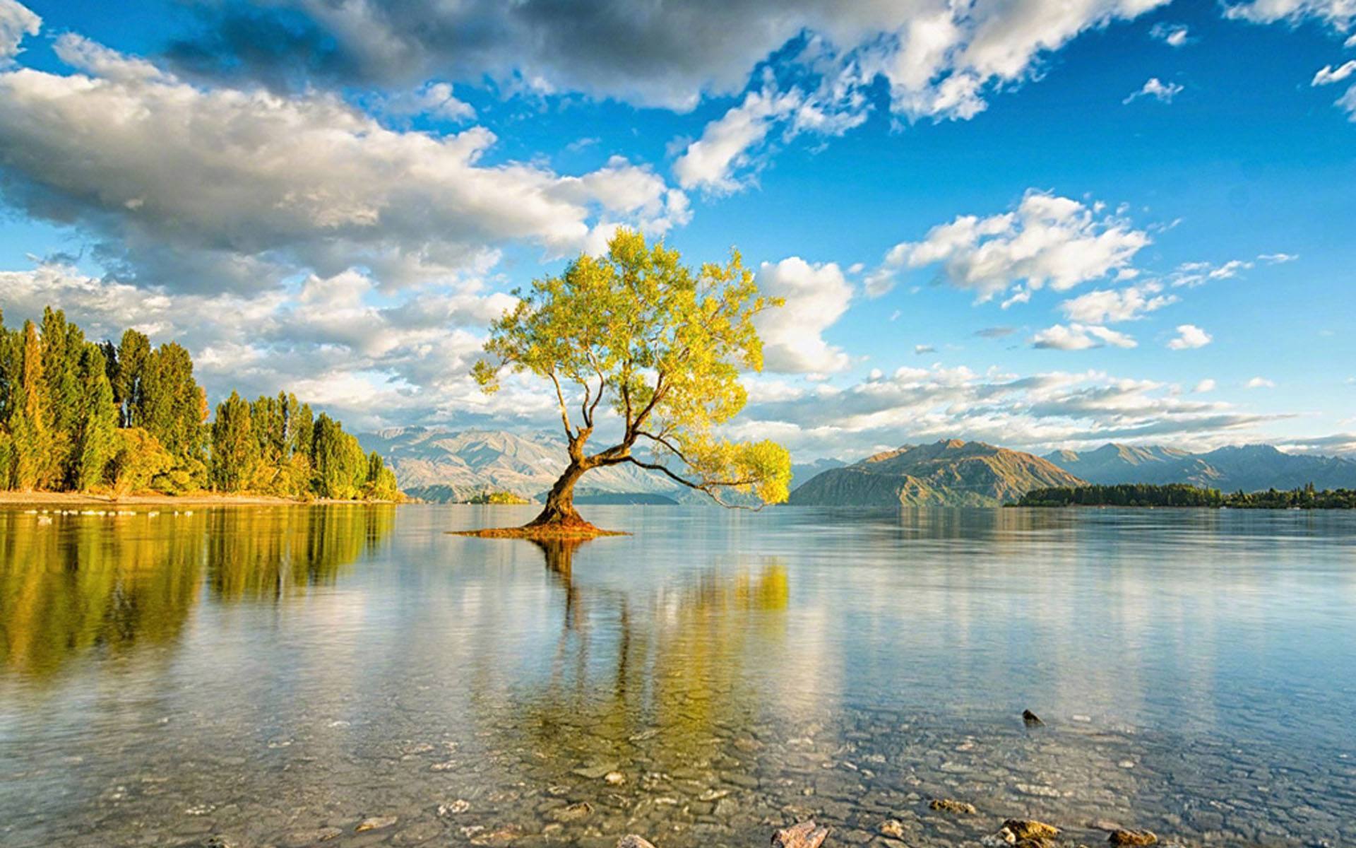src=http___img9.51tietu.net_pic_2019-091317_y0nxasvcomiy0nxasvcomi.jpg&amp;refer=htt.jpg