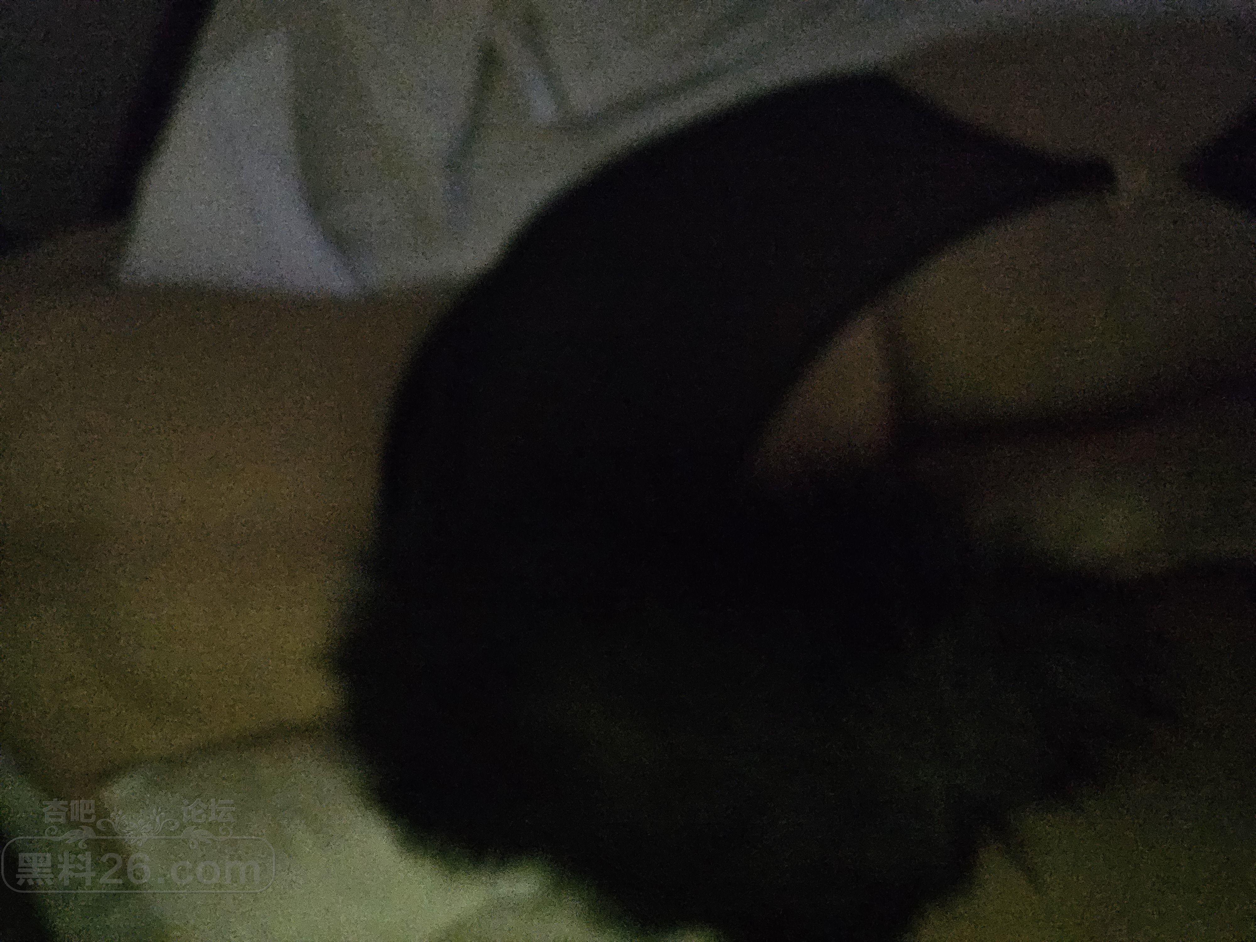 20250421_123951.jpg