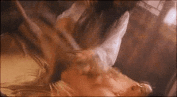 0 (7).gif