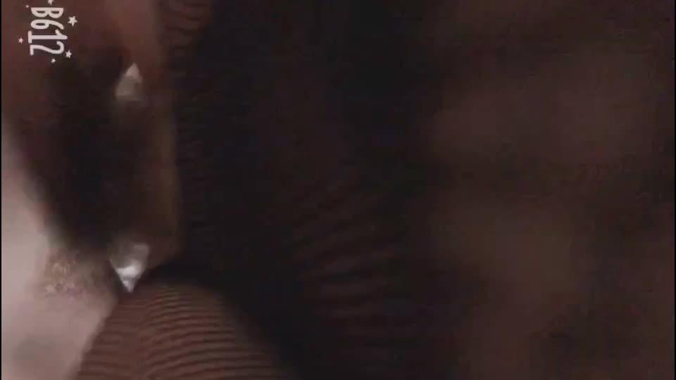 04.jpg