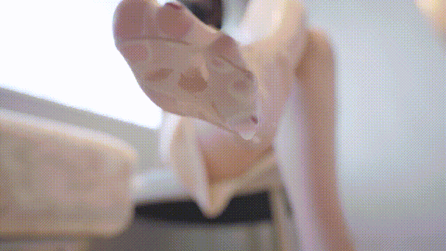 Onlyfans 极品白虎网红小姐姐NANA⭐牛奶妈妈⭐.mp4_20241101_140947.gif