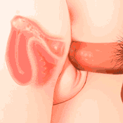 受孕动画.gif