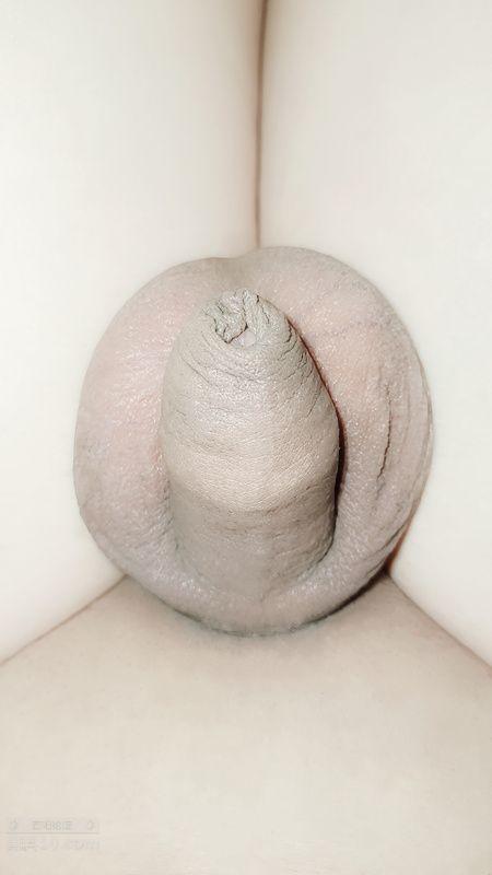 母狗25.jpg