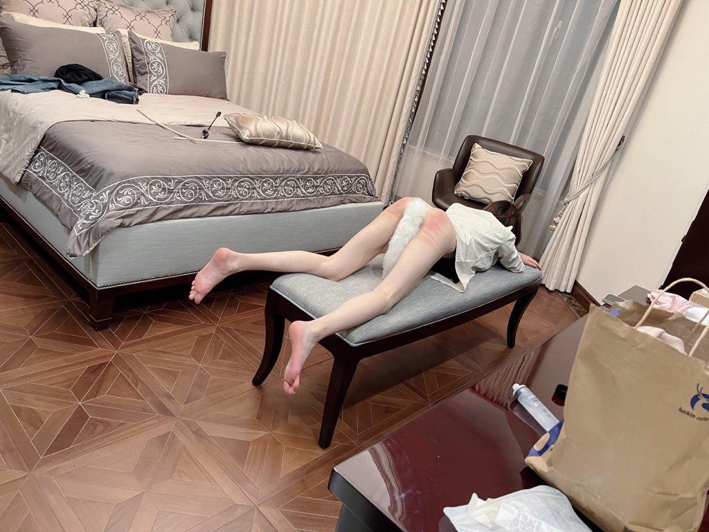 T (6).jpg