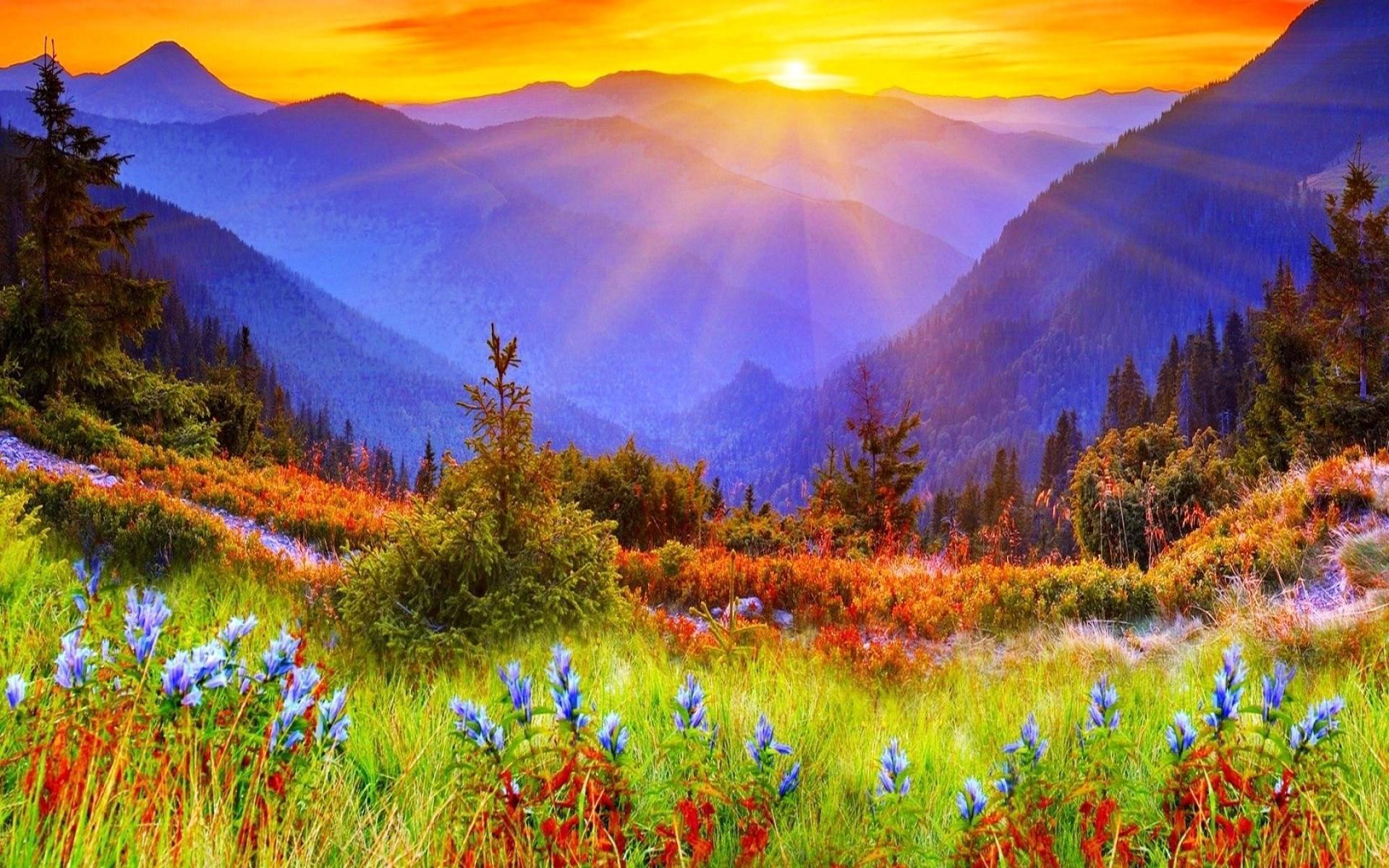 src=http___img.bz1111.com_d7_2014-10_2014101807181.jpg&amp;refer=http___img.bz1111.jpg
