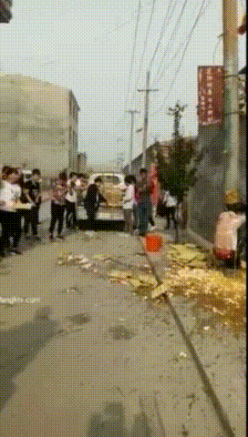 q (5).gif