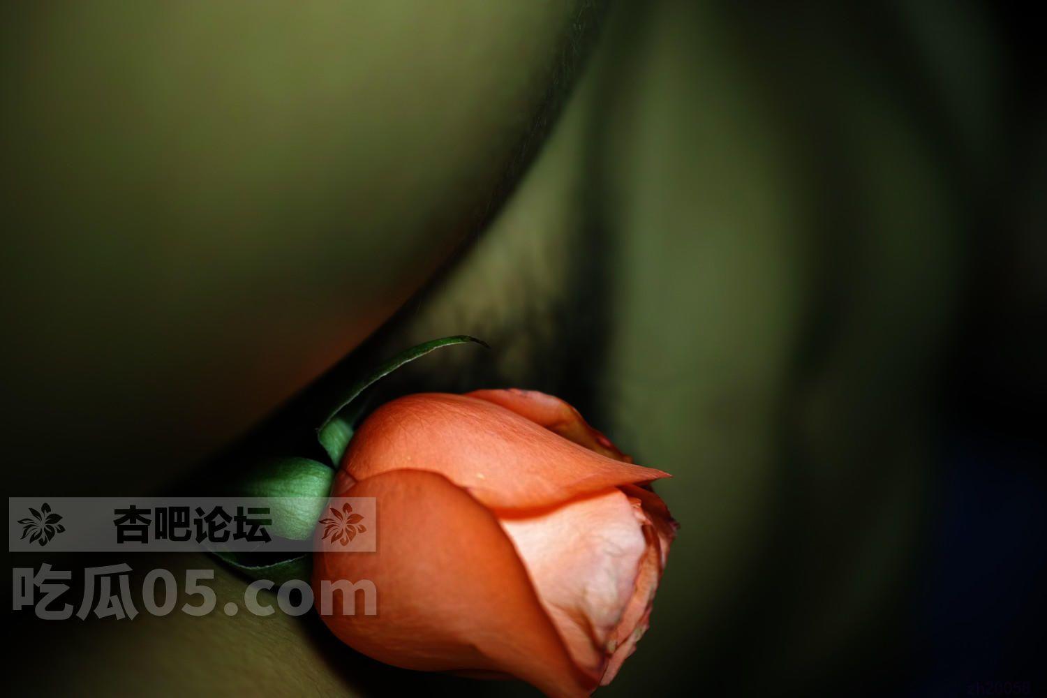 DM_20210929145227_017.jpg