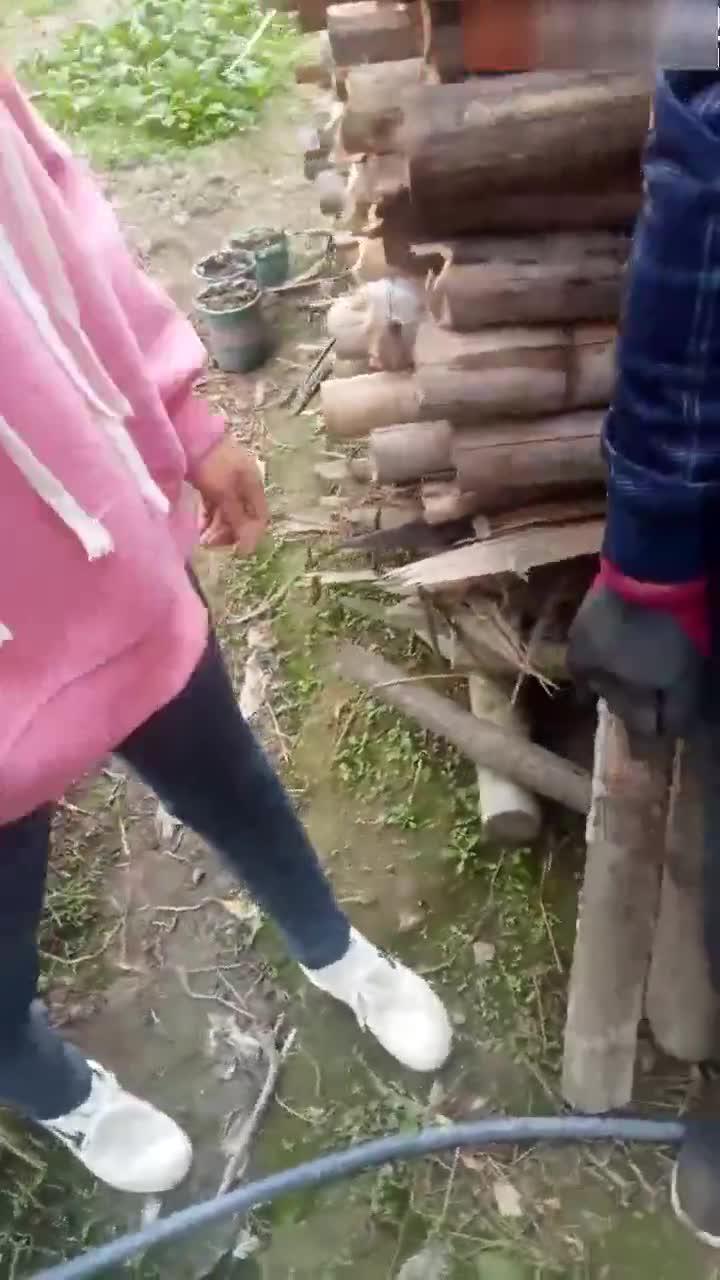 04.jpg