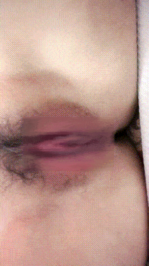 2 (4)1795 (2).gif