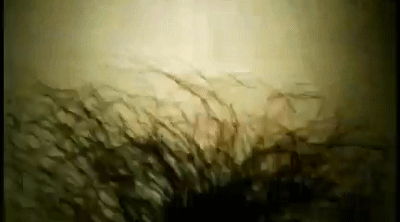 WP_1488698426.gif