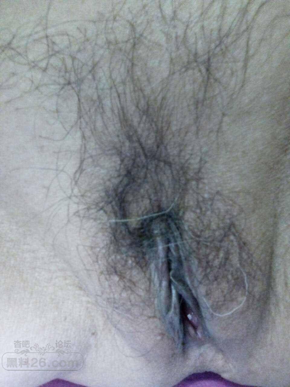 ia_3700000065.jpg