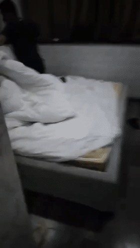 5.gif