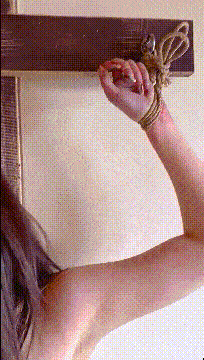 2 (12).gif