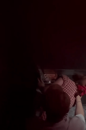 5.gif