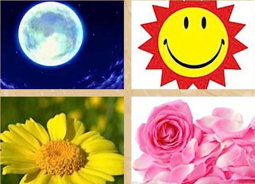 15、明日黄花.jpg