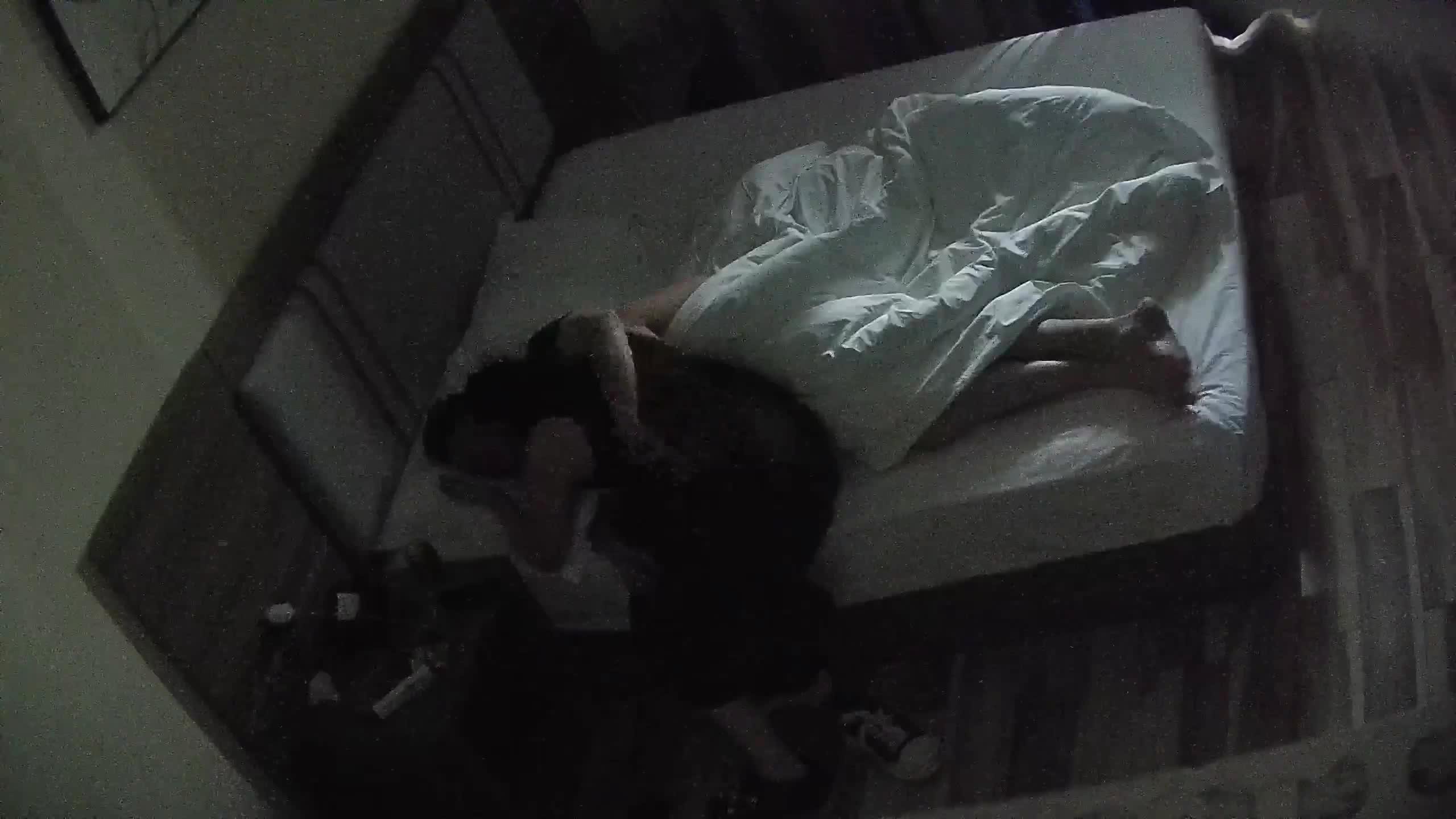 07.jpg