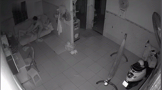 5.gif