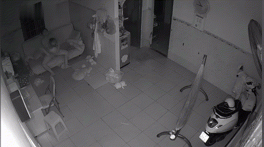 7.gif