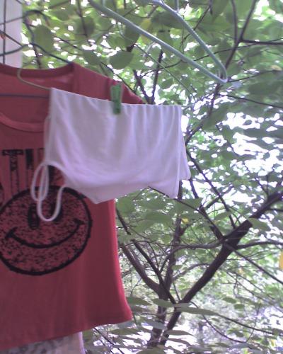 2007050020.jpg