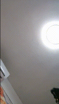 【蛋挞】刚开苞的幼态萝莉！这也太嫩了！无套坐莲.mp4_20250321_102346.gif.gif