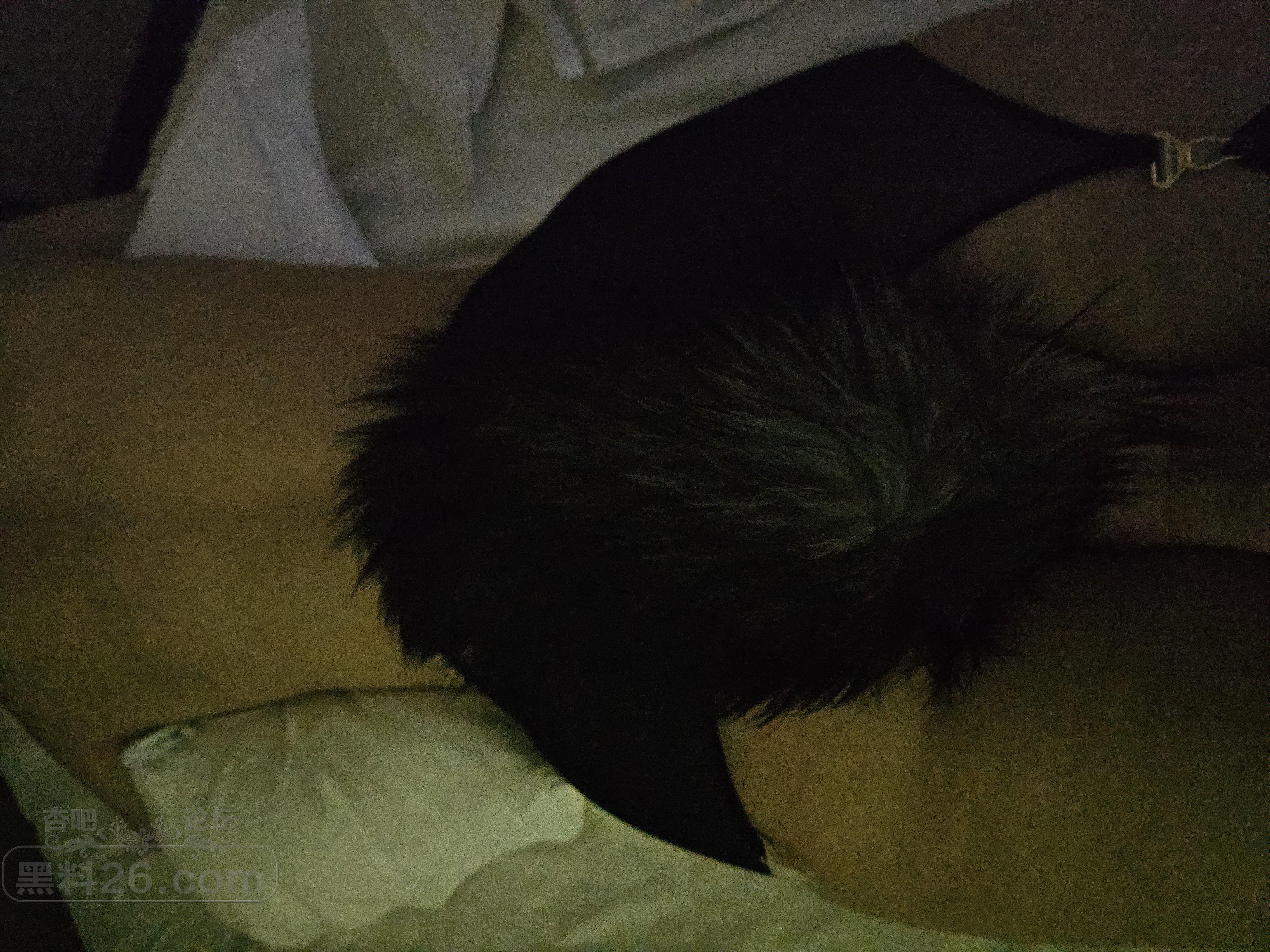 20250421_123948.jpg