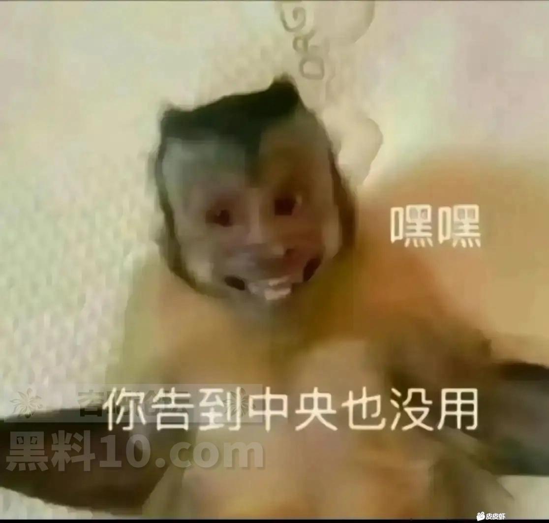 8d6ef9c65333bc0574acb599a21830f3.jpeg