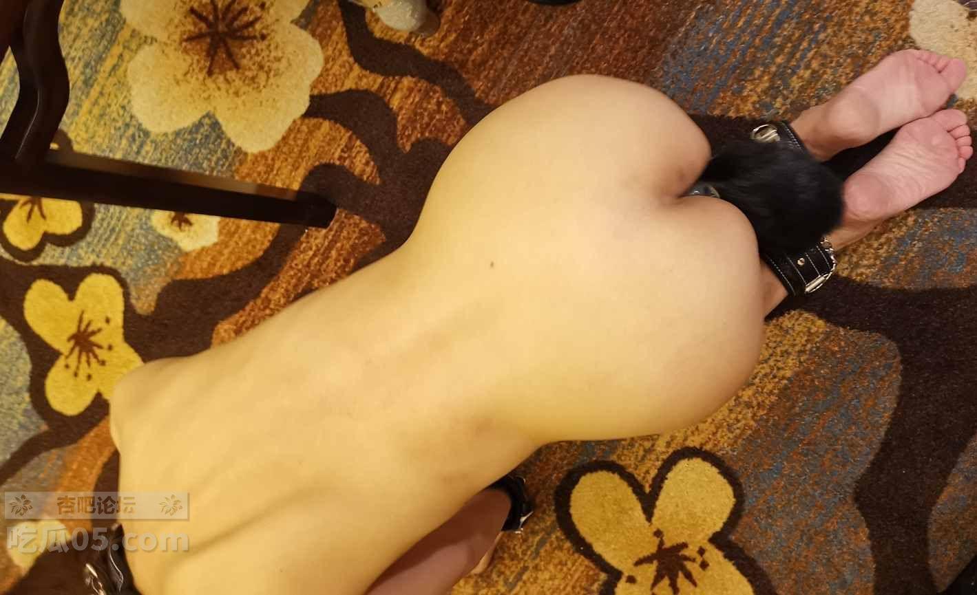 56343.jpg