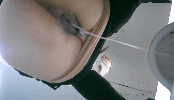 2.gif