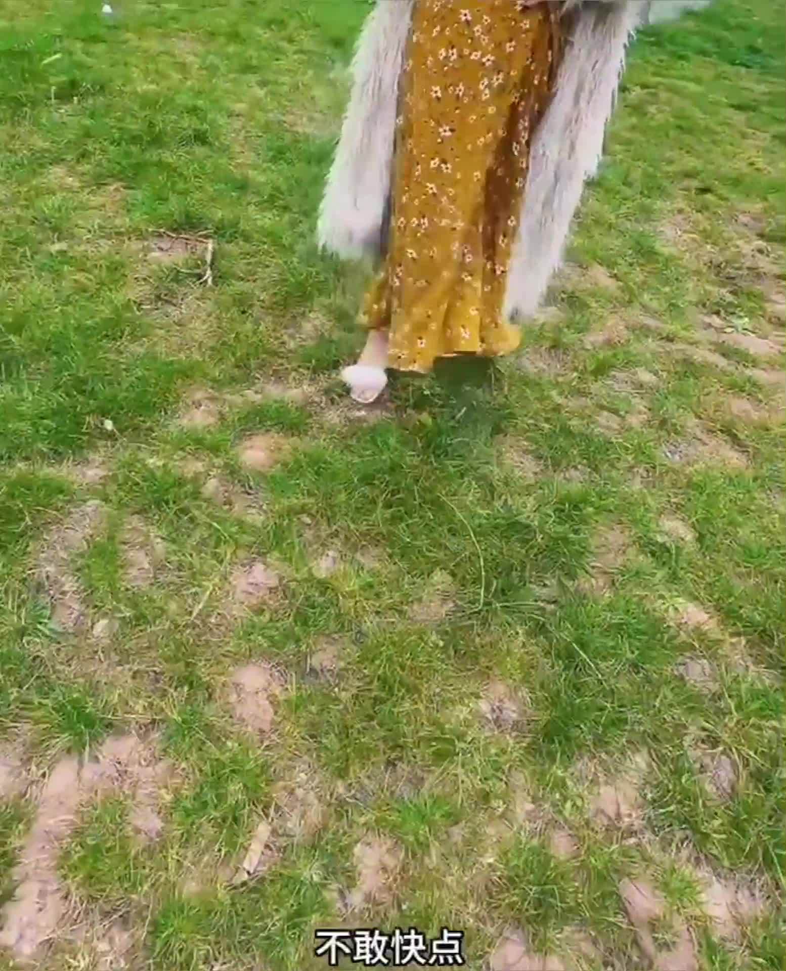 03.jpg
