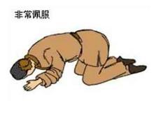 五体投地.jpg
