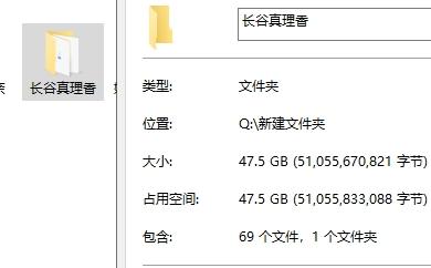 4124214.jpg