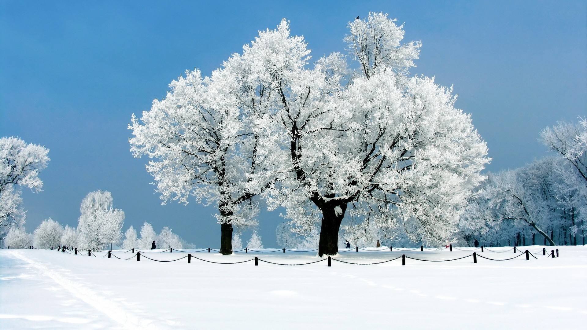 src=http___pic1.win4000.com_wallpaper_2019-11-22_5dd7aeedbb649.jpg&amp;refer=http___.jpg