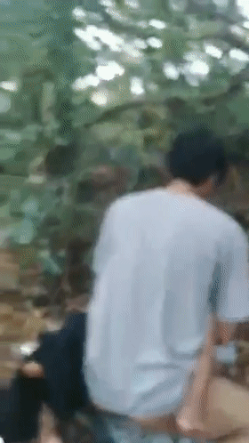 4.gif