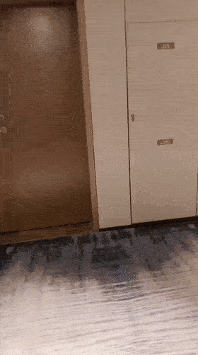 4377d99e3205c734a (2).gif