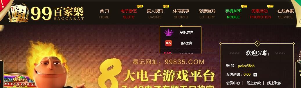99百家乐.jpg