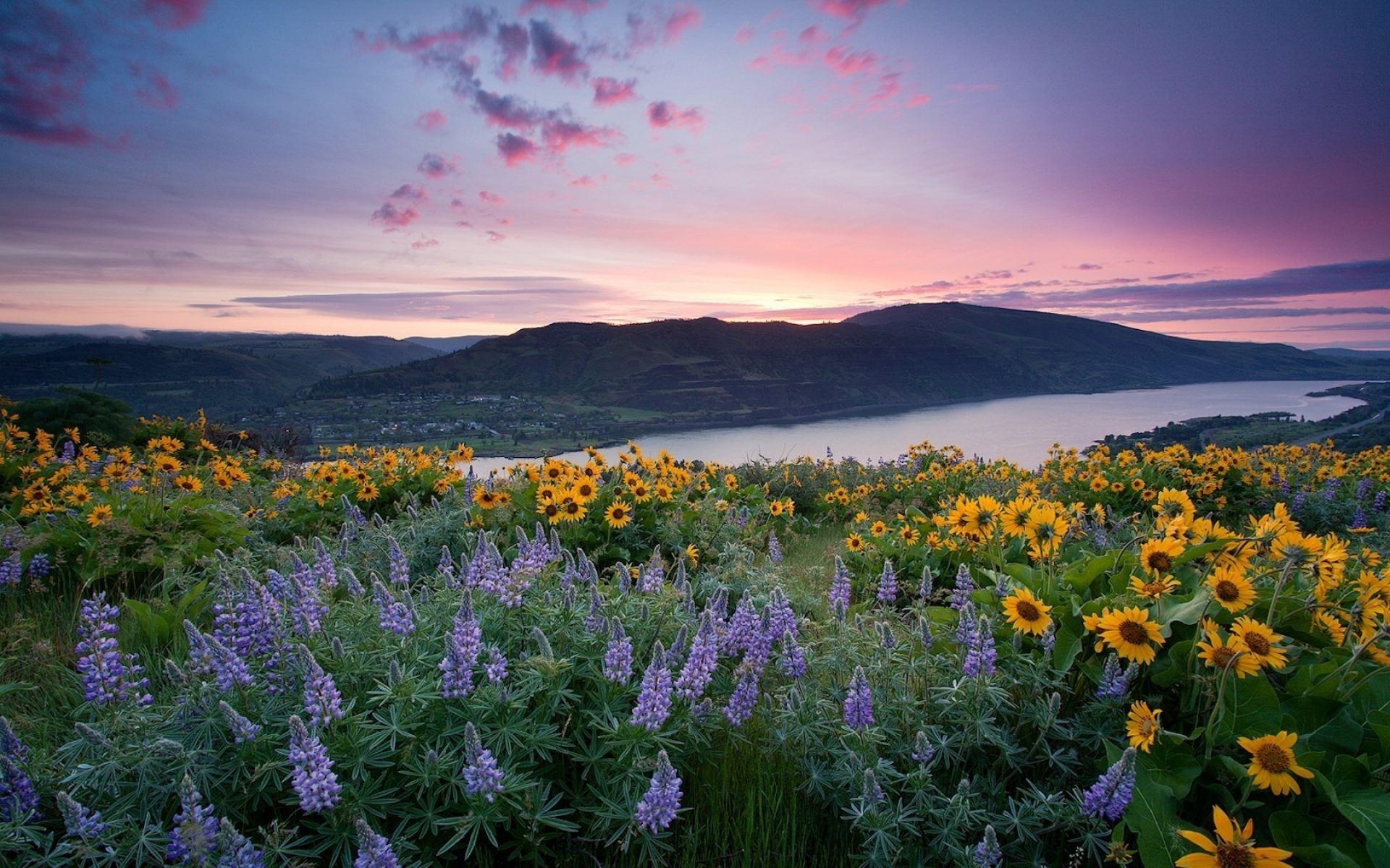 src=http___img9.51tietu.net_pic_2019-091302_xgena3d4xz2xgena3d4xz2.jpg&amp;refer=htt.jpg