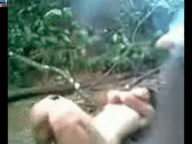 4.gif