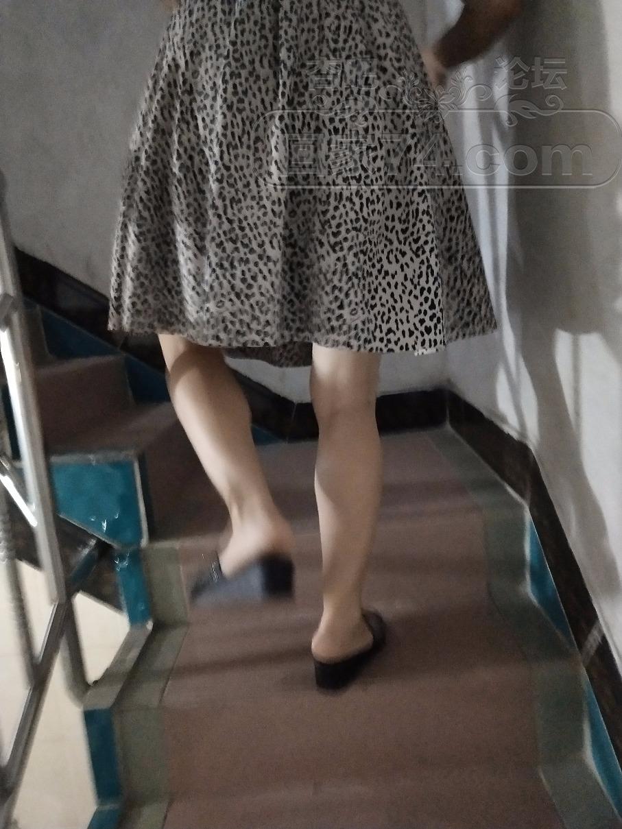 d269a12726a959a6e88a6e85c42484d2.jpeg