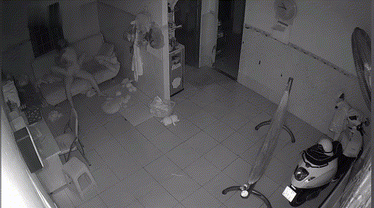6.gif
