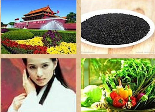 17、安之若素.jpg