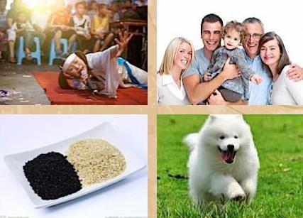 2、丧家之犬.jpg