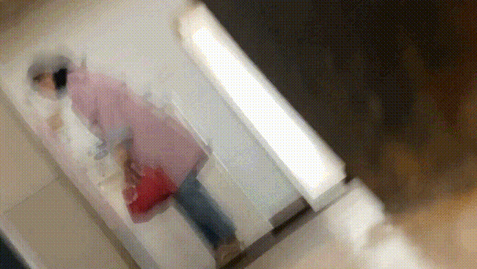 q (1).gif